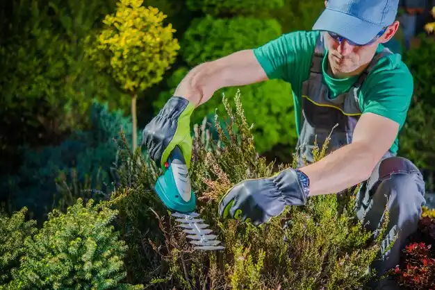 landscaping services Saranac